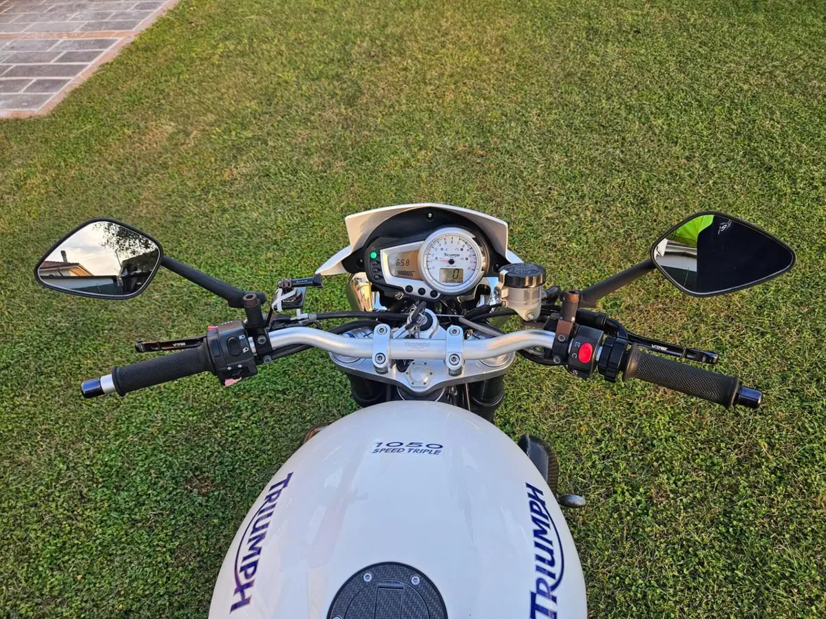 Triumph Speed Triple 1050 (2005 - 11) (14)