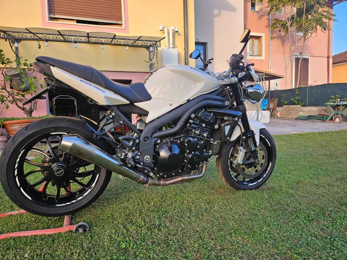 Triumph Speed Triple 1050 (2005 - 11) (15)