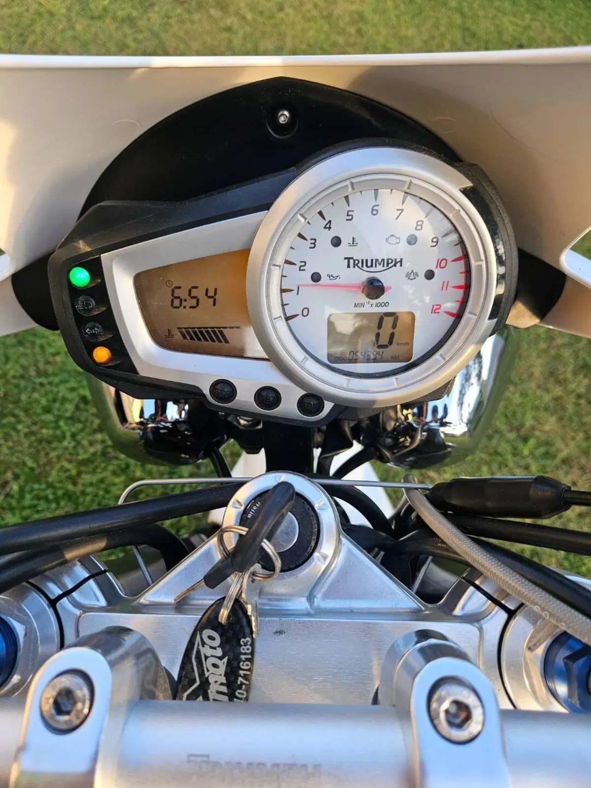 Triumph Speed Triple 1050 (2005 - 11) (16)