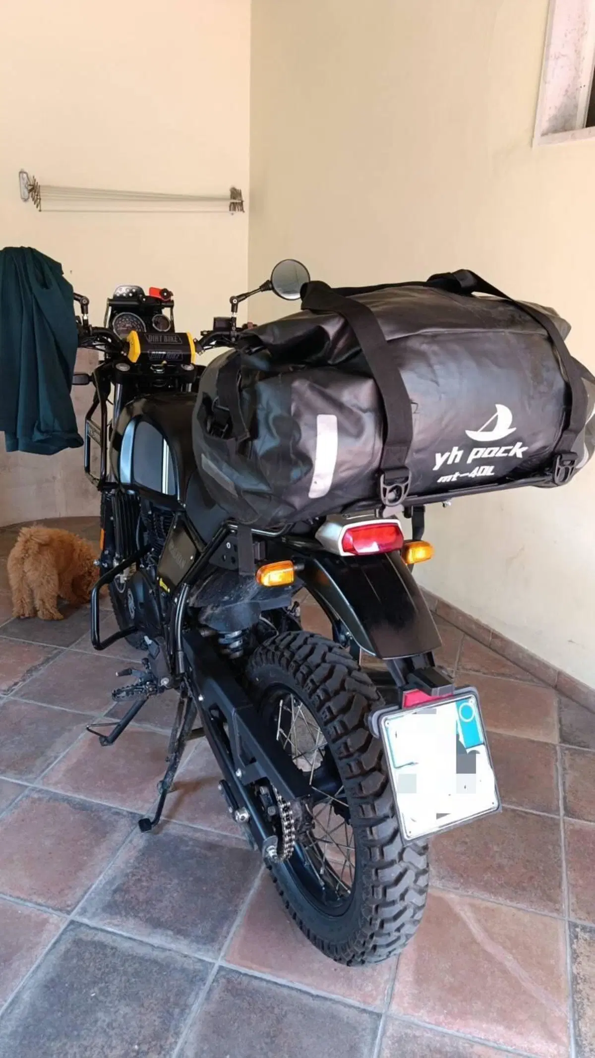 Royal Enfield Himalayan 411 (2017 - 20) (2)