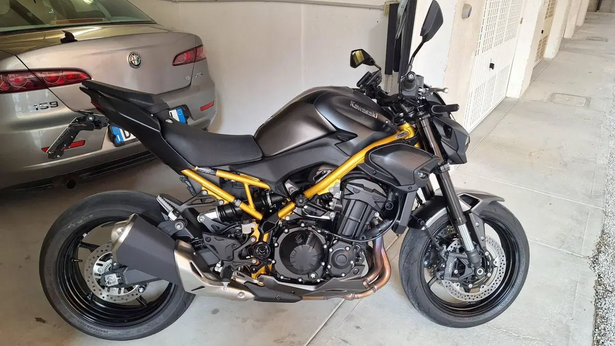 Kawasaki Z 900 (2025 - 26) (2)