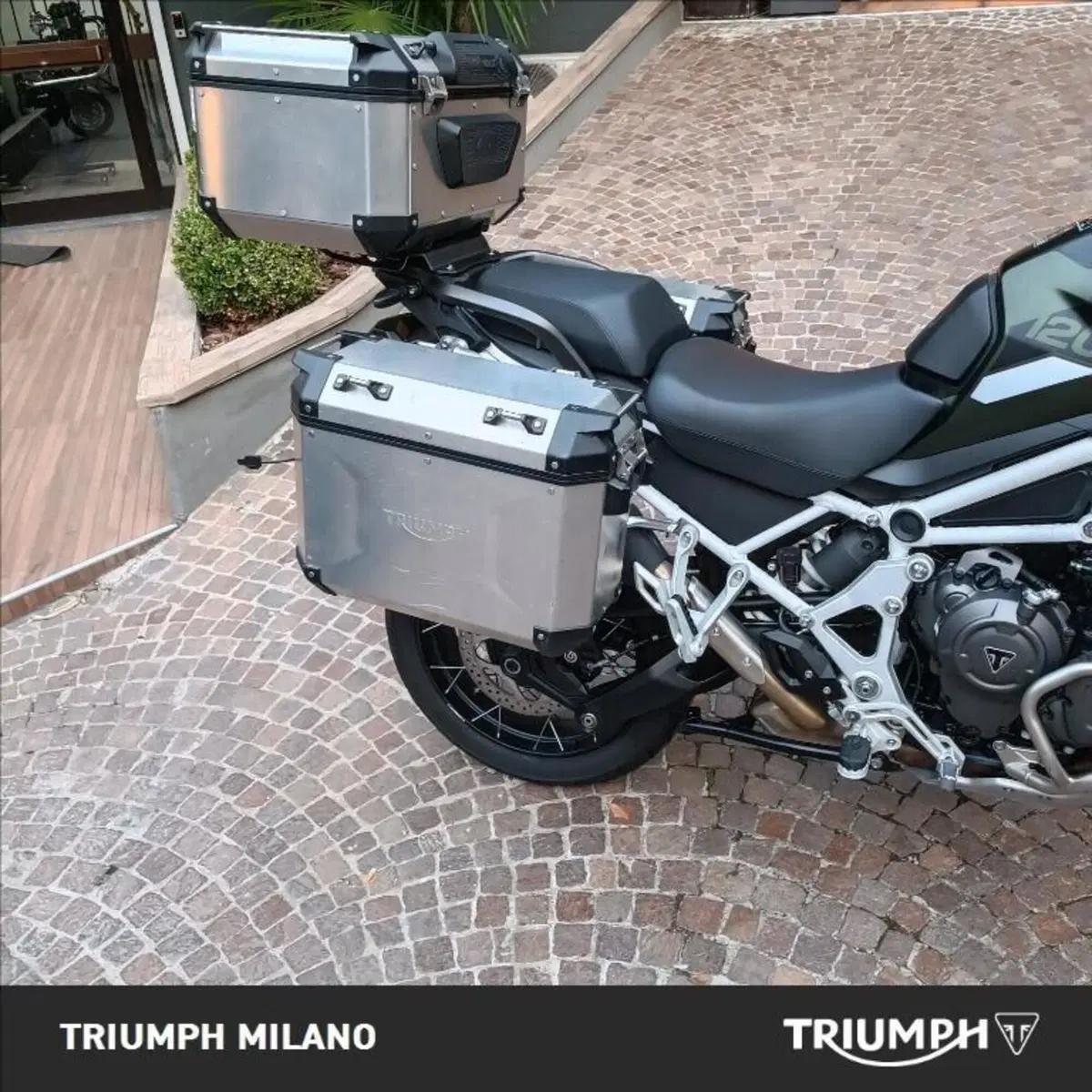 Triumph Tiger 1200 Rally Pro (2022 - 23) (2)