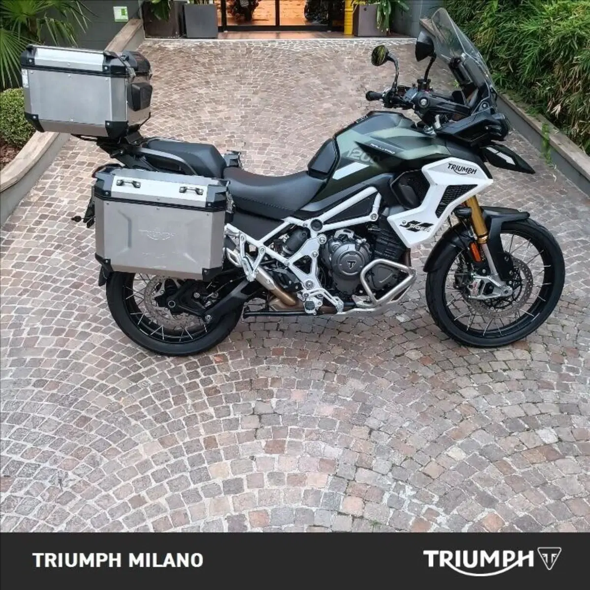 Triumph Tiger 1200 Rally Pro (2022 - 23)