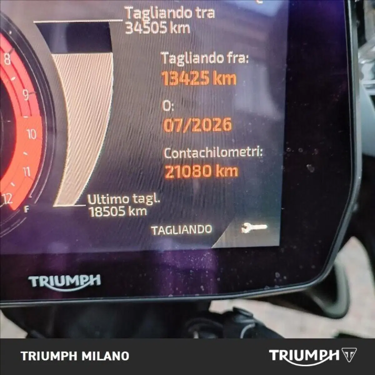 Triumph Tiger 1200 Rally Pro (2022 - 23) (5)