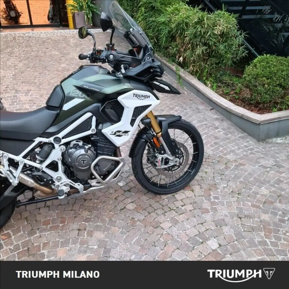 Triumph Tiger 1200 Rally Pro (2022 - 23) (3)
