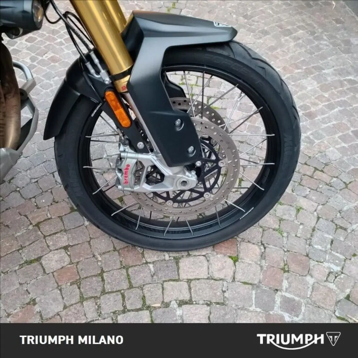Triumph Tiger 1200 Rally Pro (2022 - 23) (4)