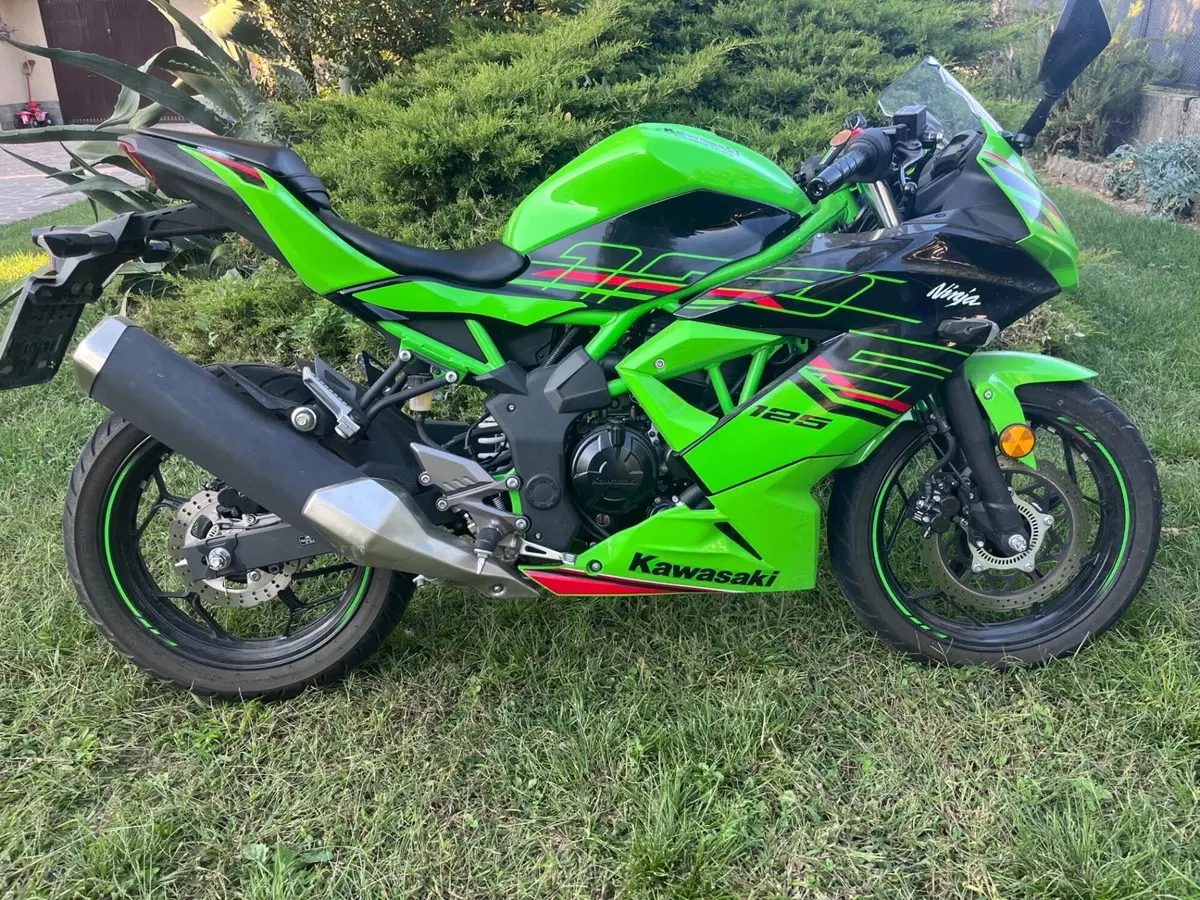 Kawasaki Ninja 125 (2021 - 24) (2)