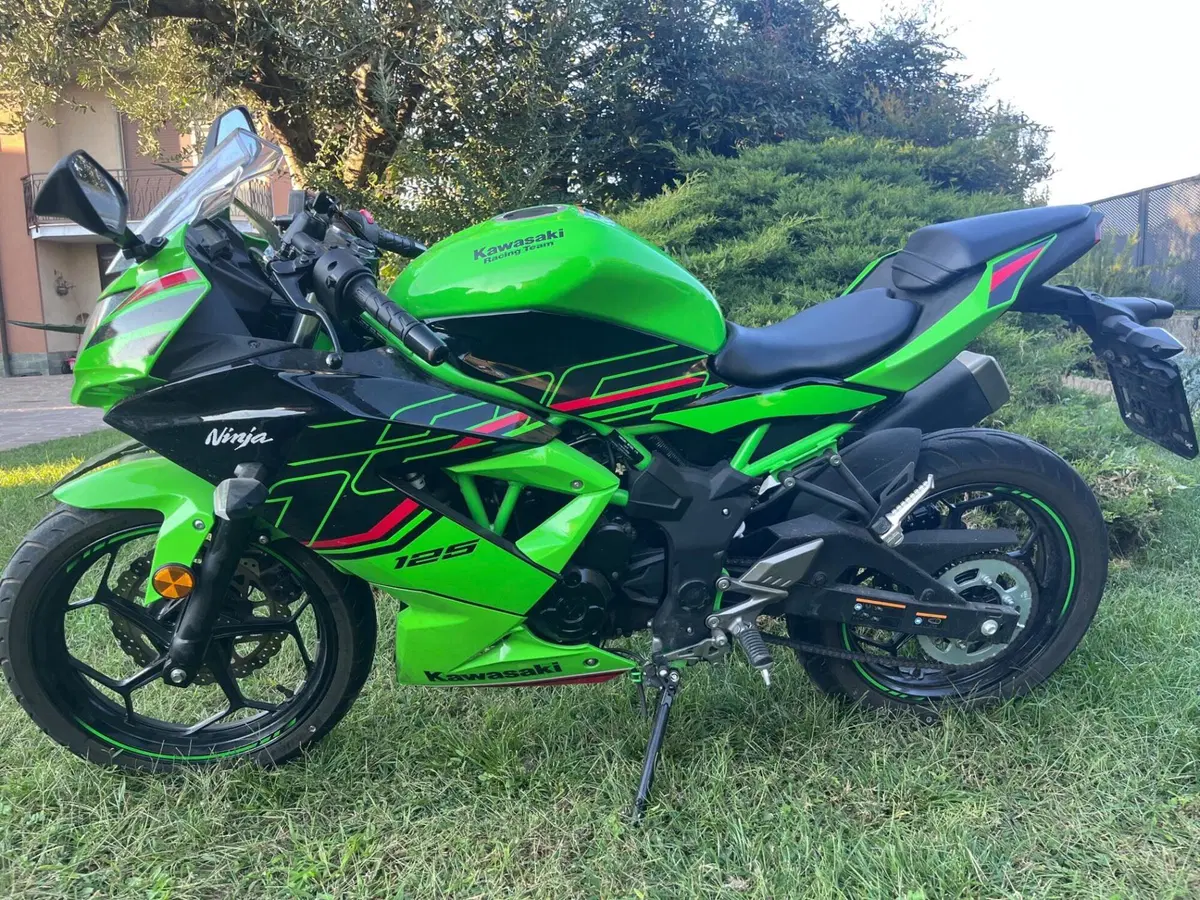 Kawasaki Ninja 125 (2021 - 24) (3)