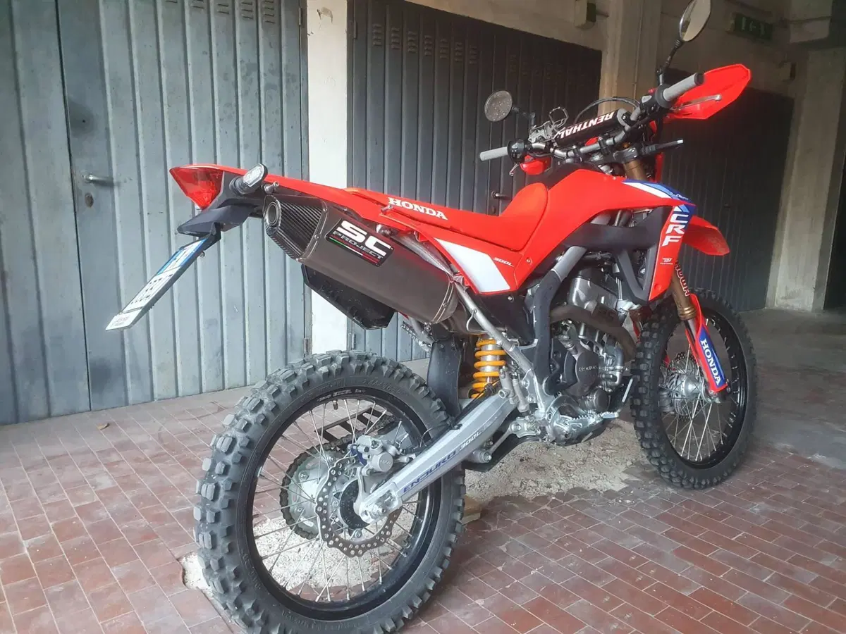 Honda CRF 300L Red Edition (2026) (3)