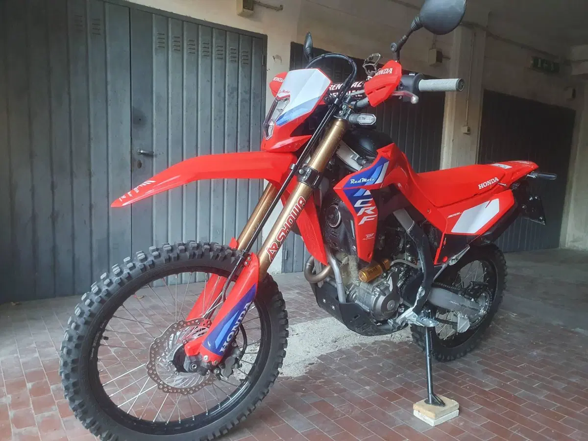 Honda CRF 300L Red Edition (2026) (4)