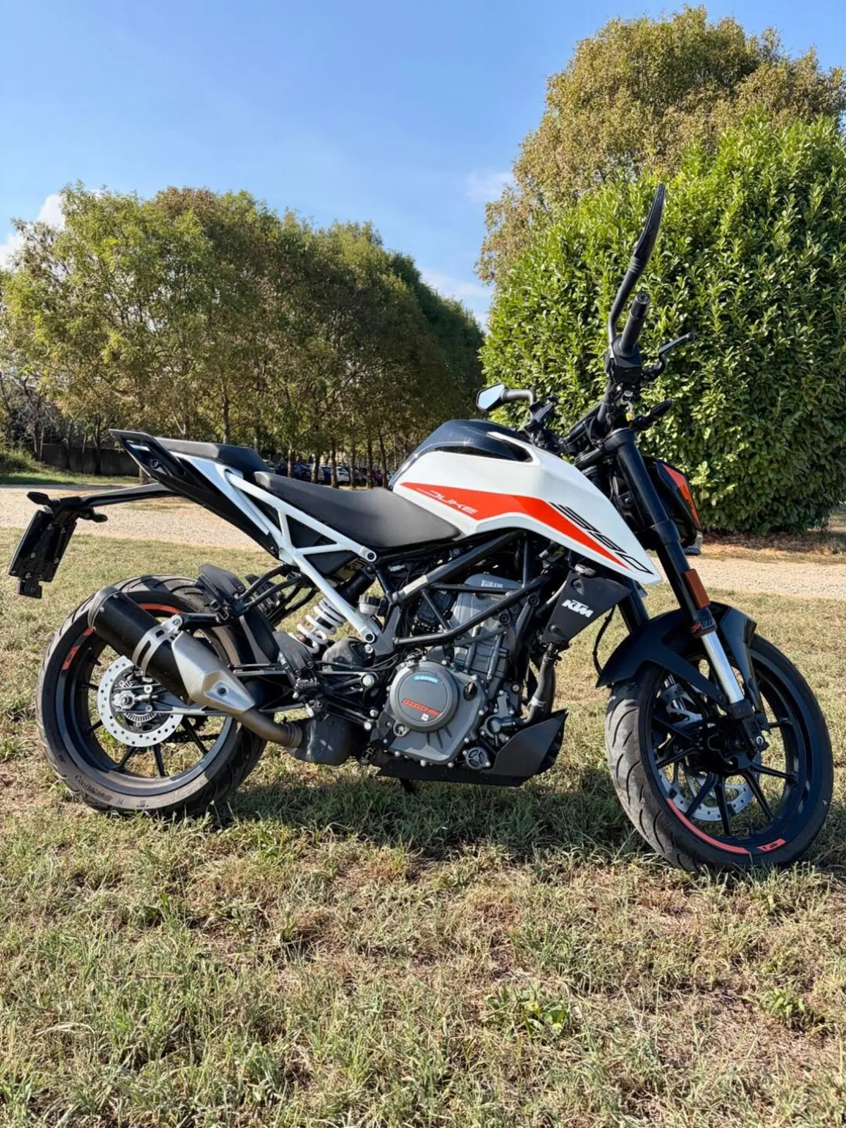 KTM 390 Duke (2021 - 23) (2)
