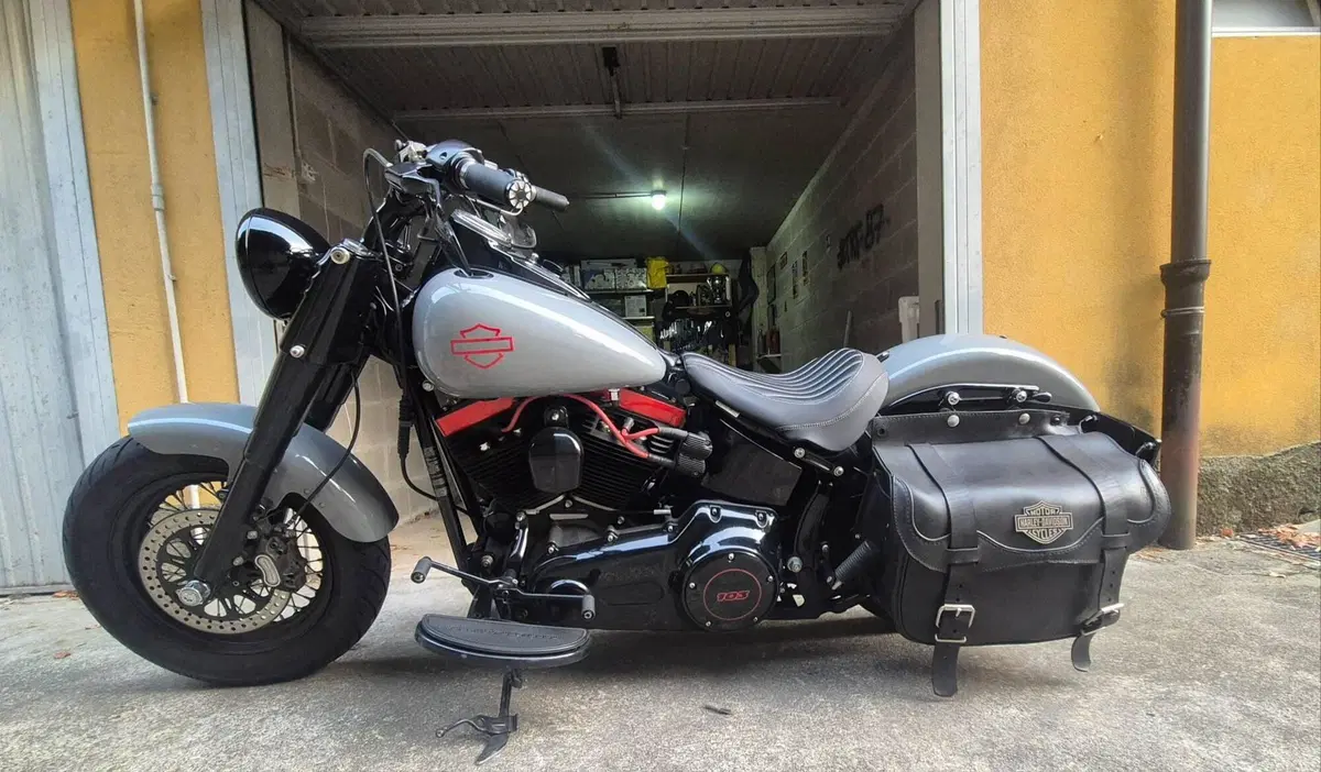 Harley-Davidson 1690 Slim (2011 - 16) - FLS (3)