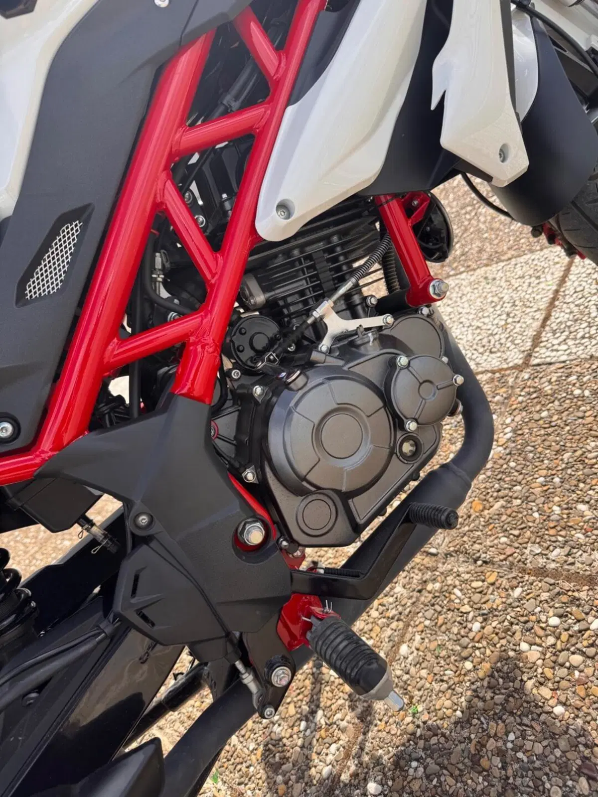 Benelli BN 125 (2021 - 25) (5)