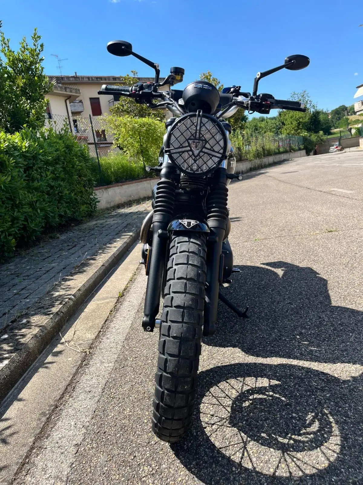 Triumph Street Scrambler 900 (2017 - 18) (4)