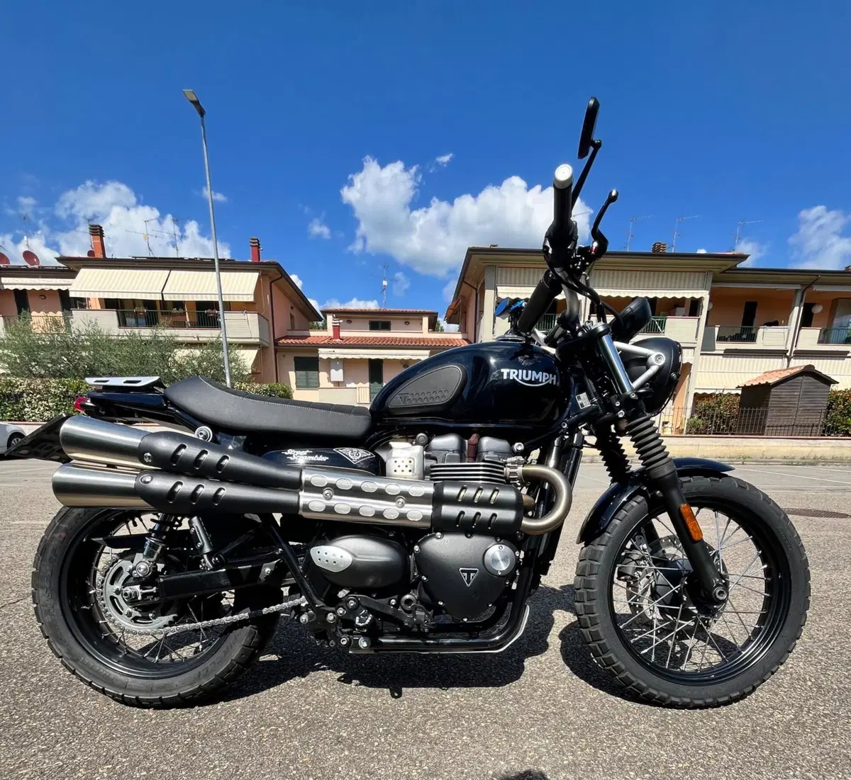 Triumph Street Scrambler 900 (2017 - 18) (9)