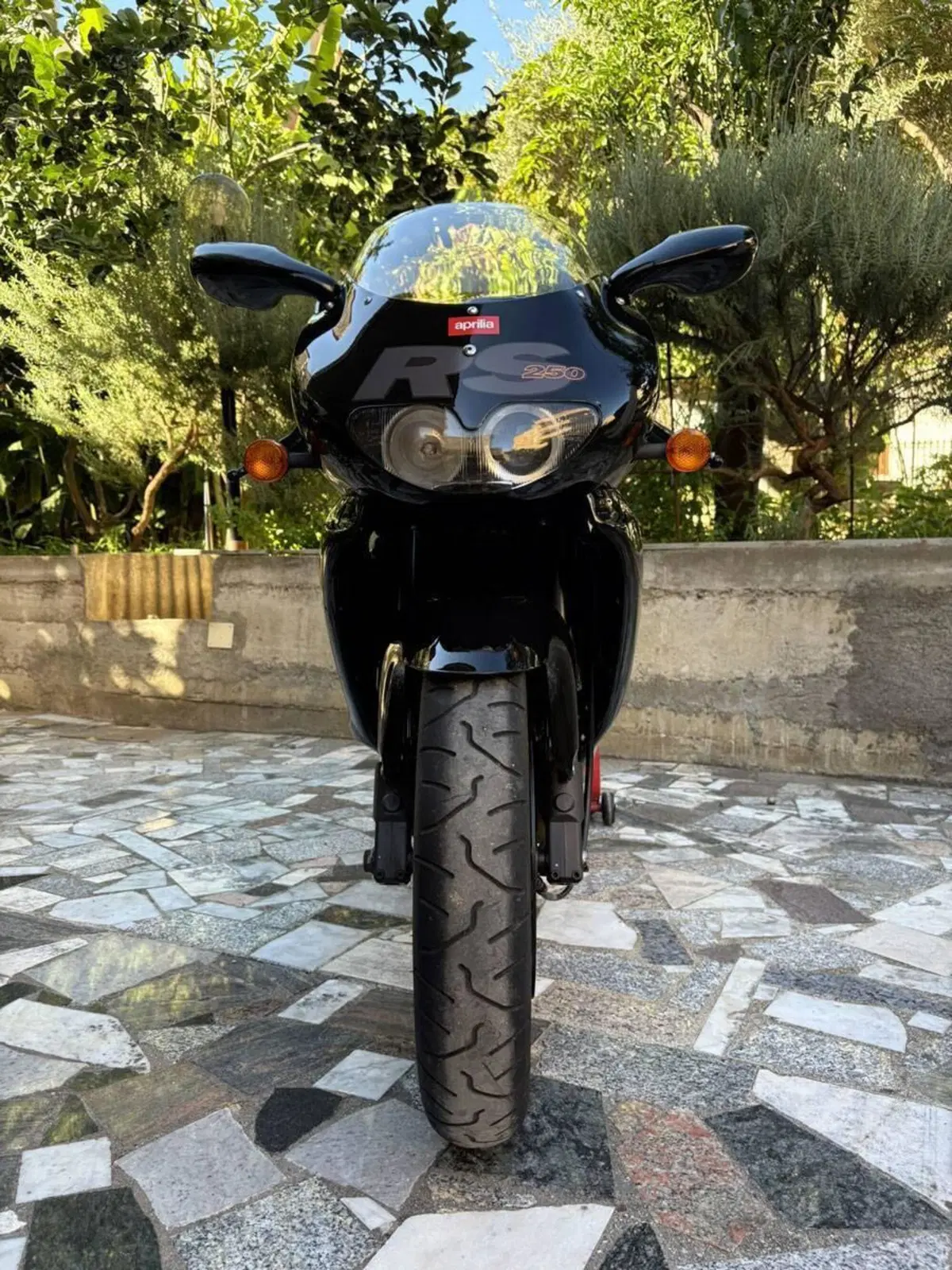 Aprilia RS 250 Replica (1996 - 97) (5)
