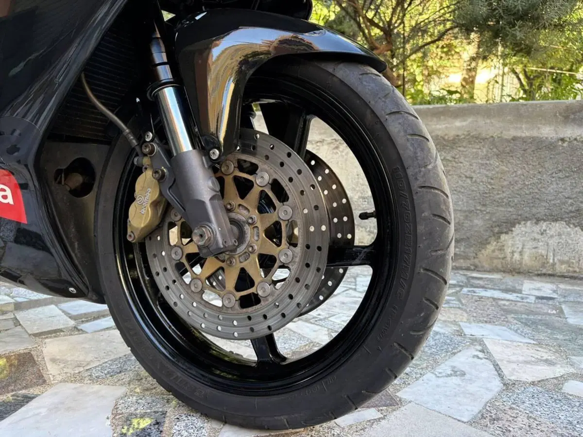 Aprilia RS 250 Replica (1996 - 97) (8)
