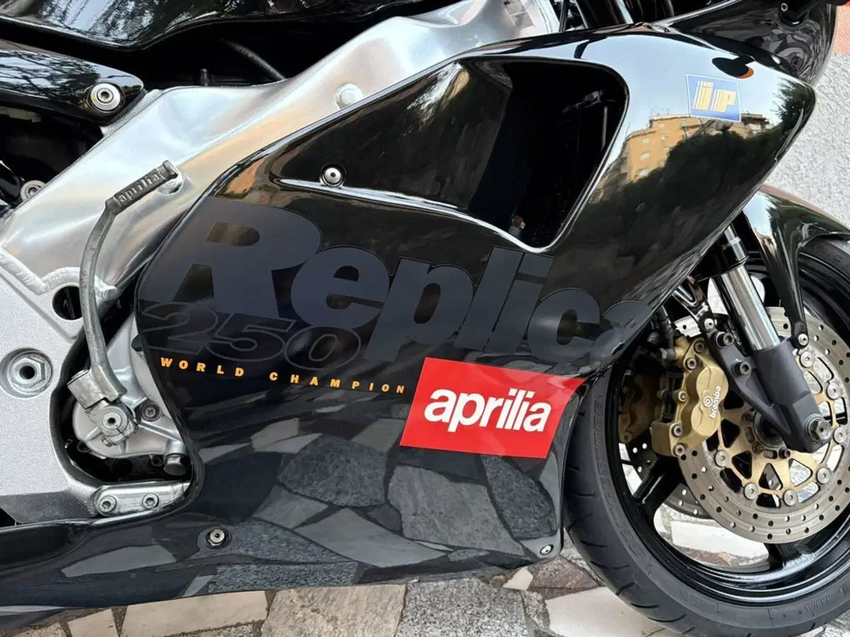 Aprilia RS 250 Replica (1996 - 97) (12)