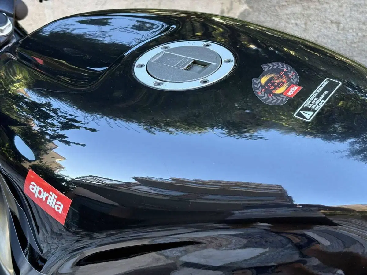Aprilia RS 250 Replica (1996 - 97) (14)
