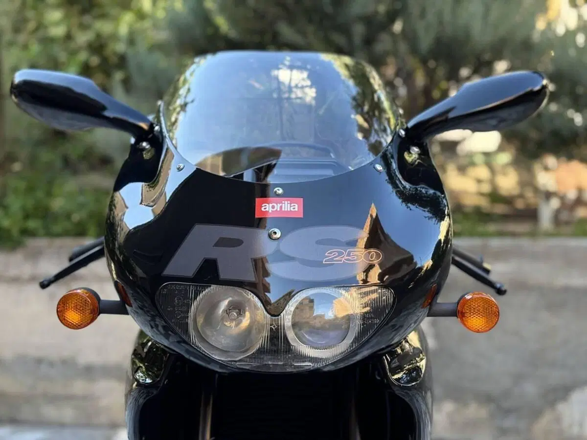 Aprilia RS 250 Replica (1996 - 97) (15)