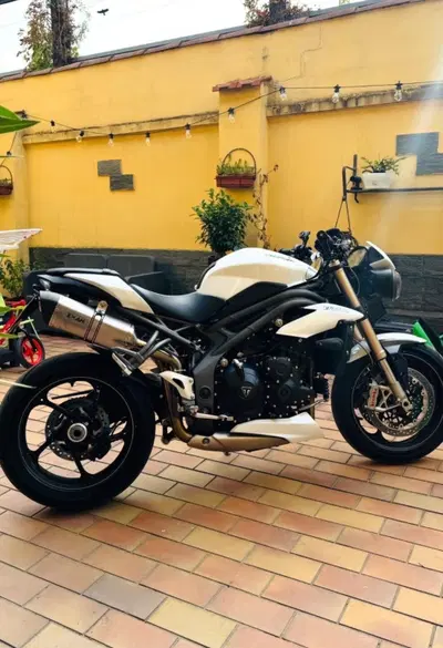 Triumph Speed Triple 1050 S (2018 - 20) usata