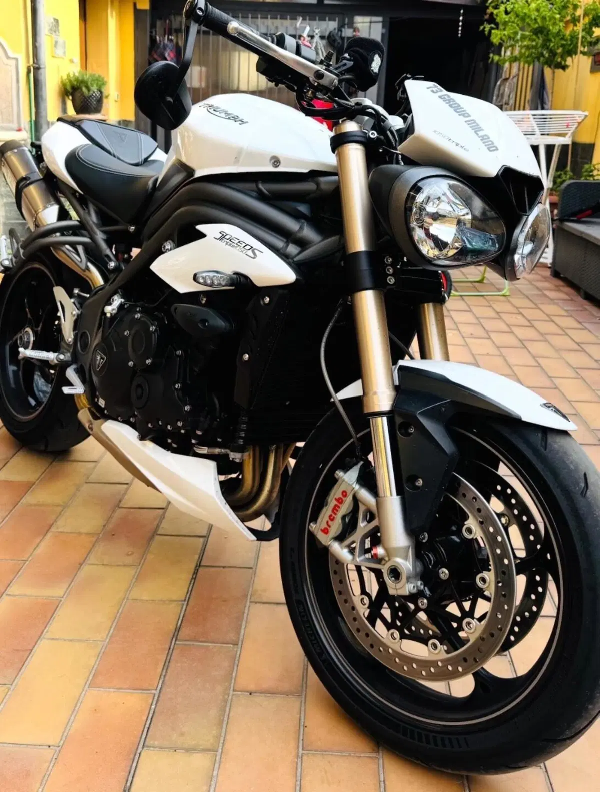 Triumph Speed Triple 1050 S (2018 - 20) (2)