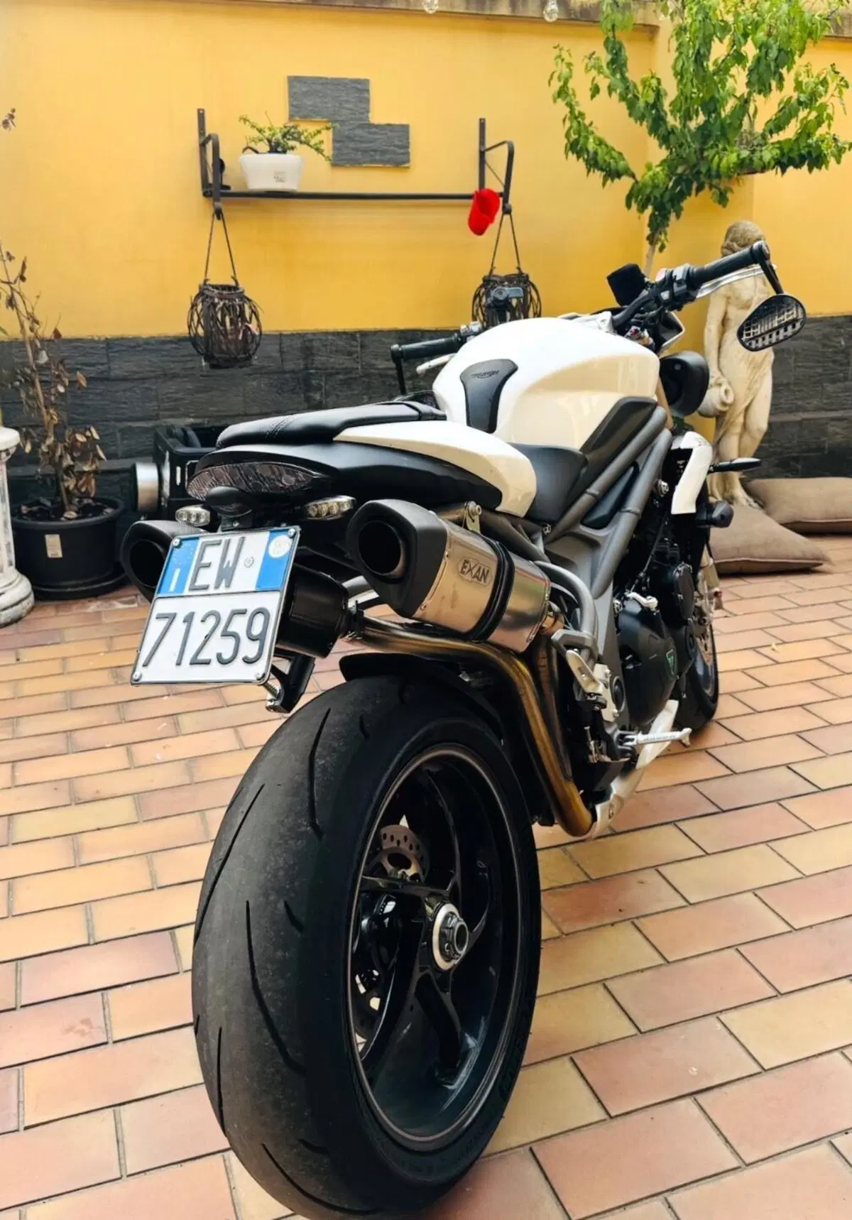 Triumph Speed Triple 1050 S (2018 - 20) (3)