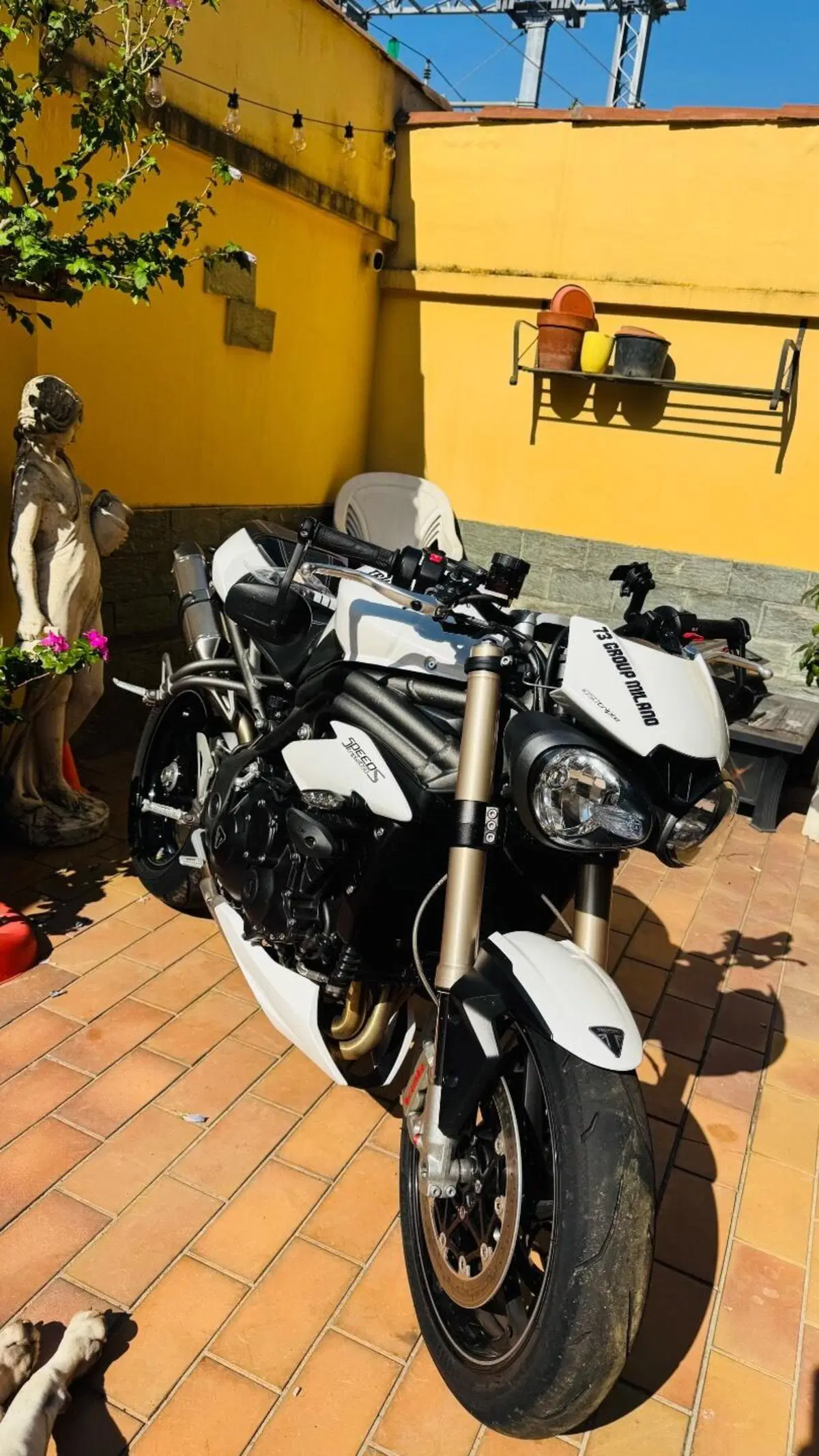 Triumph Speed Triple 1050 S (2018 - 20) (4)