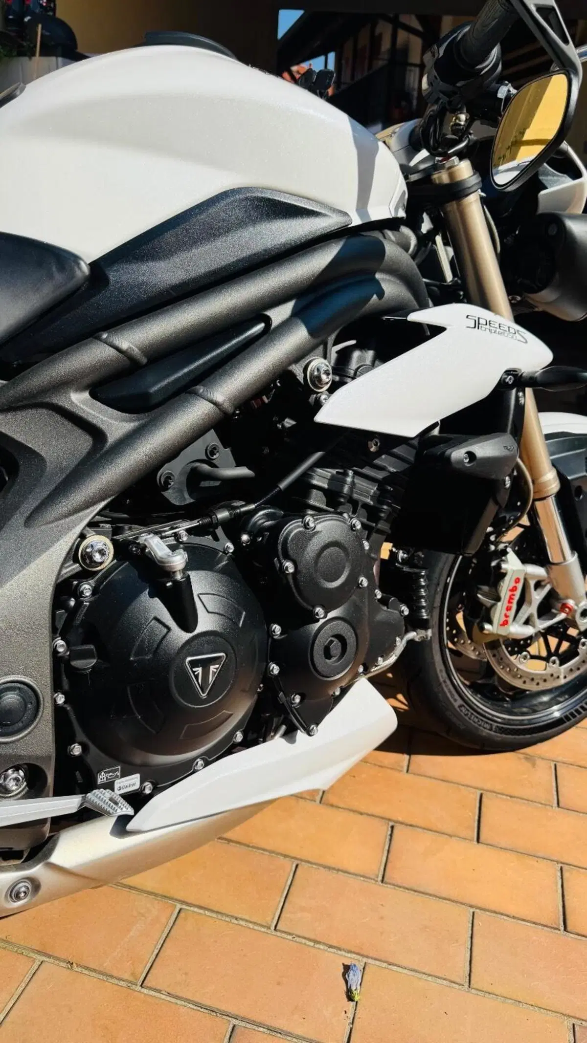 Triumph Speed Triple 1050 S (2018 - 20) (6)