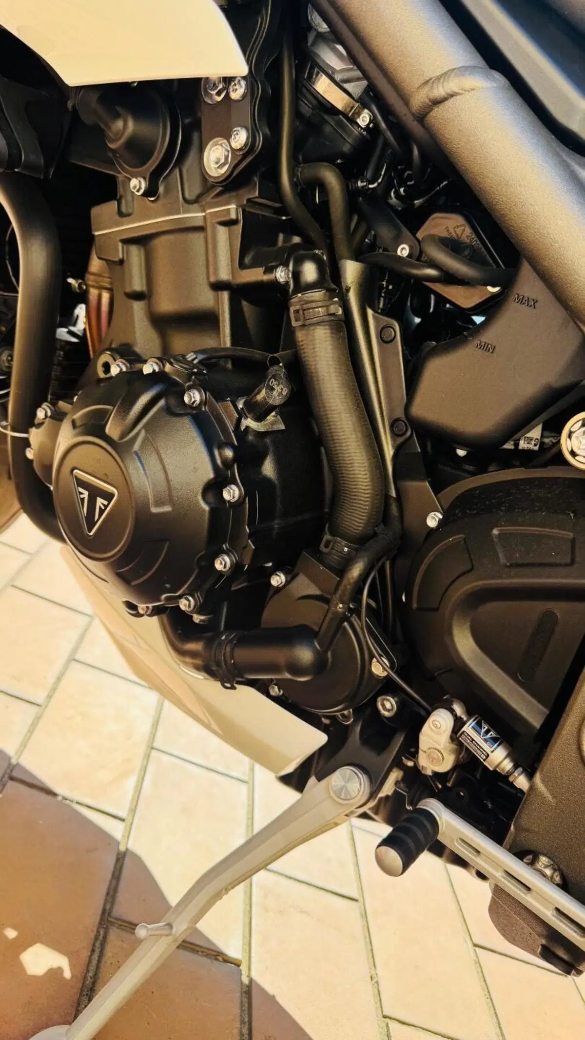 Triumph Speed Triple 1050 S (2018 - 20) (7)