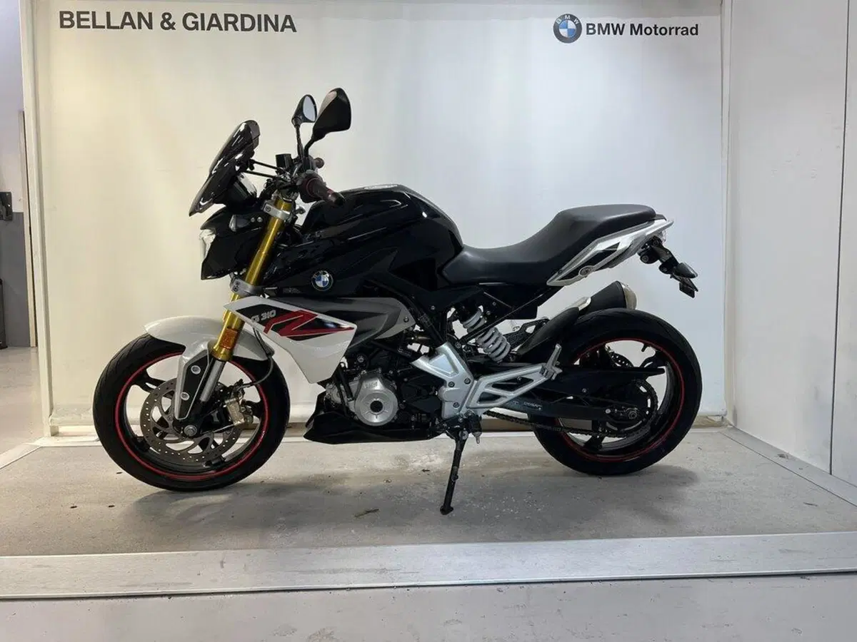 Bmw G 310 R (2016 - 20)