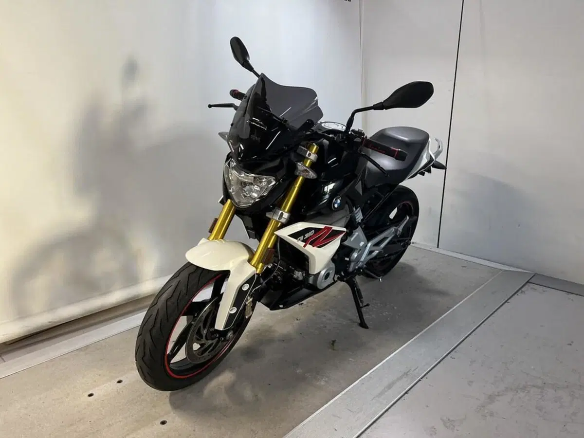 Bmw G 310 R (2016 - 20) (4)