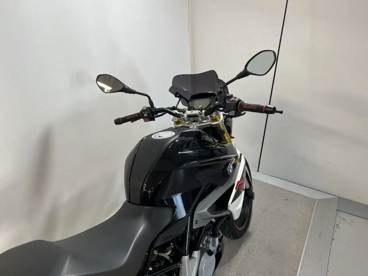 Bmw G 310 R (2016 - 20) (10)