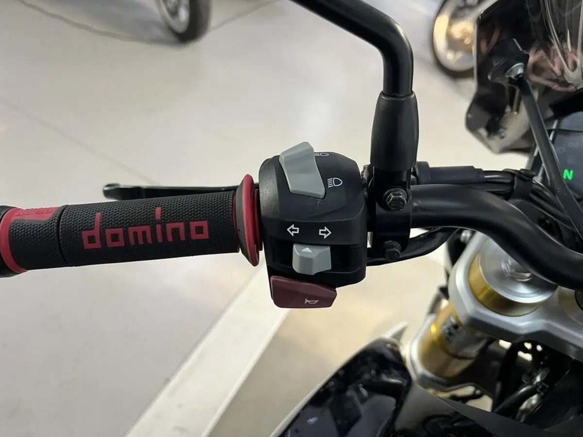 Bmw G 310 R (2016 - 20) (7)
