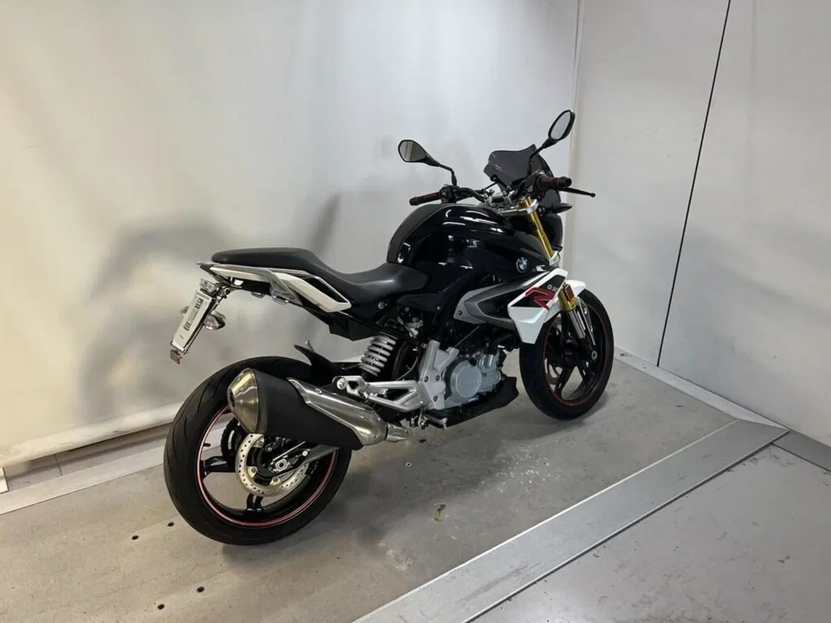 Bmw G 310 R (2016 - 20) (13)