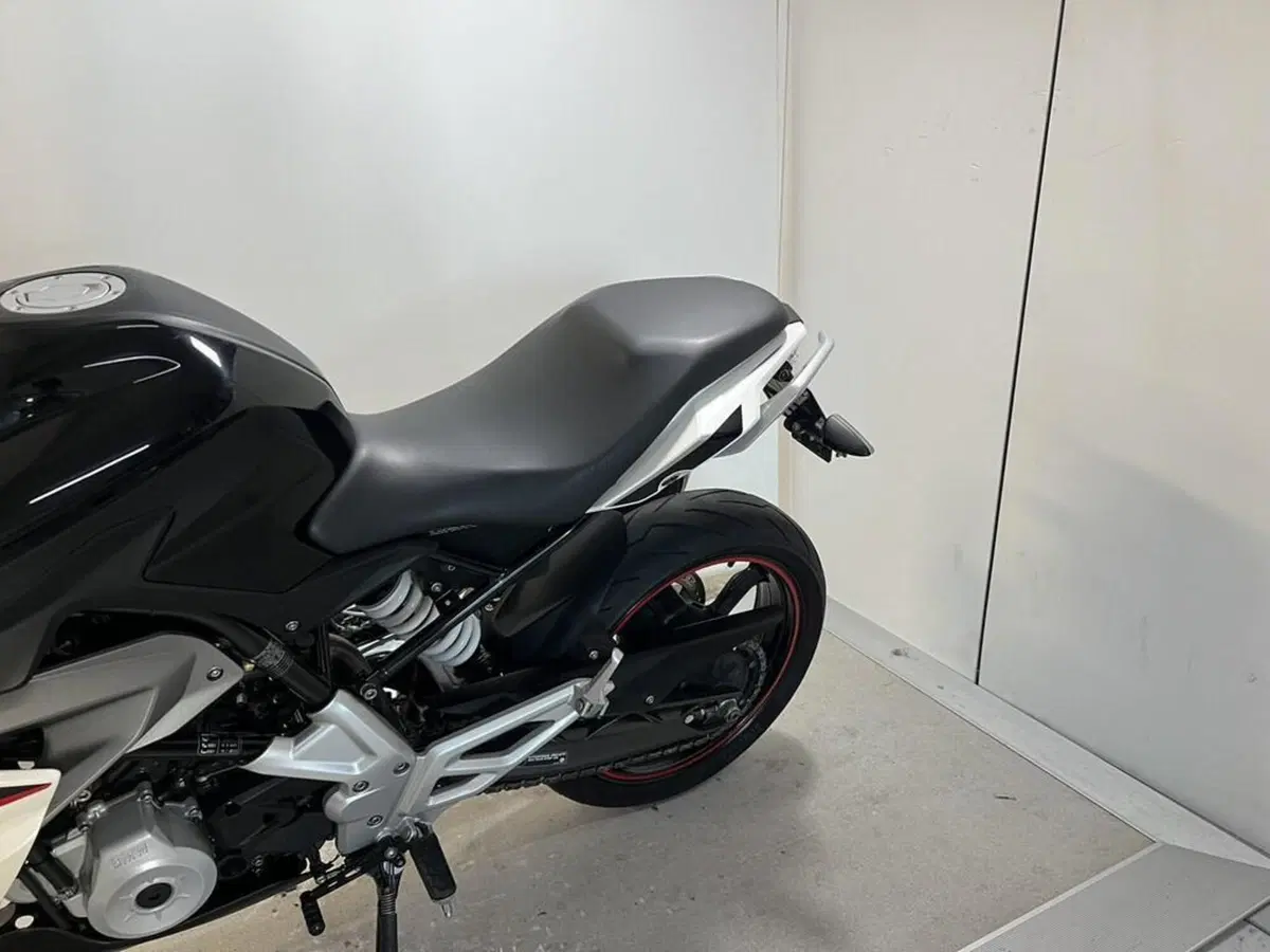 Bmw G 310 R (2016 - 20) (2)