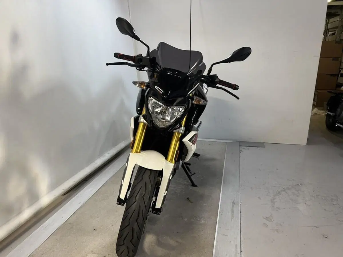 Bmw G 310 R (2016 - 20) (5)