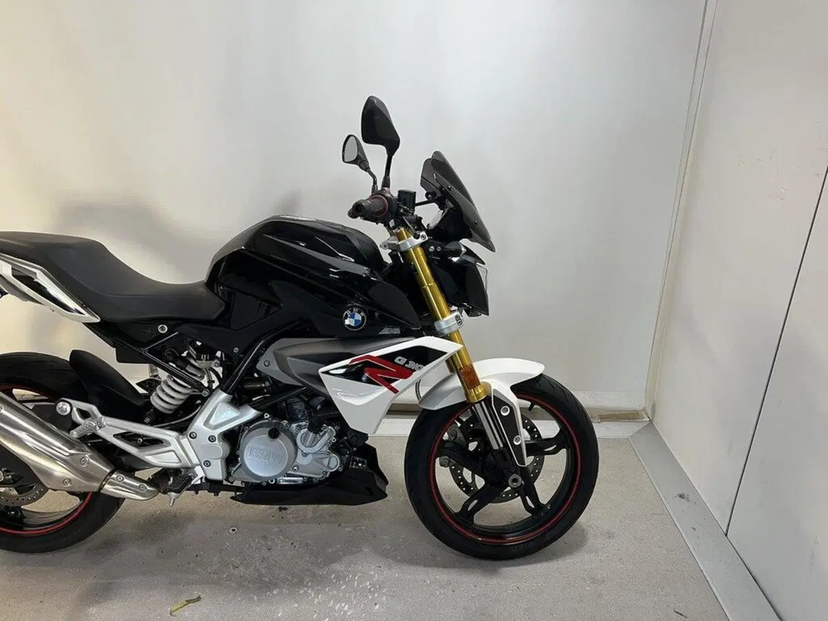 Bmw G 310 R (2016 - 20) (11)
