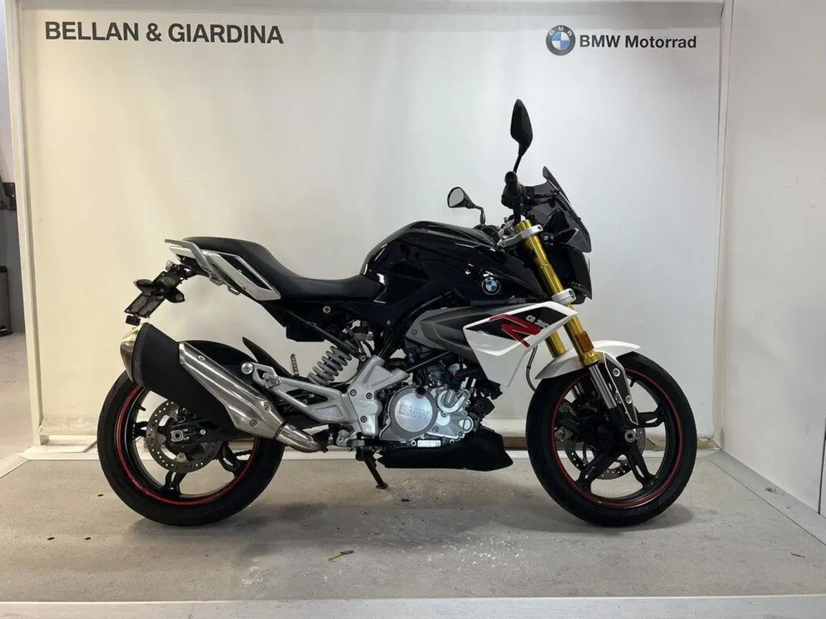 Bmw G 310 R (2016 - 20) (14)