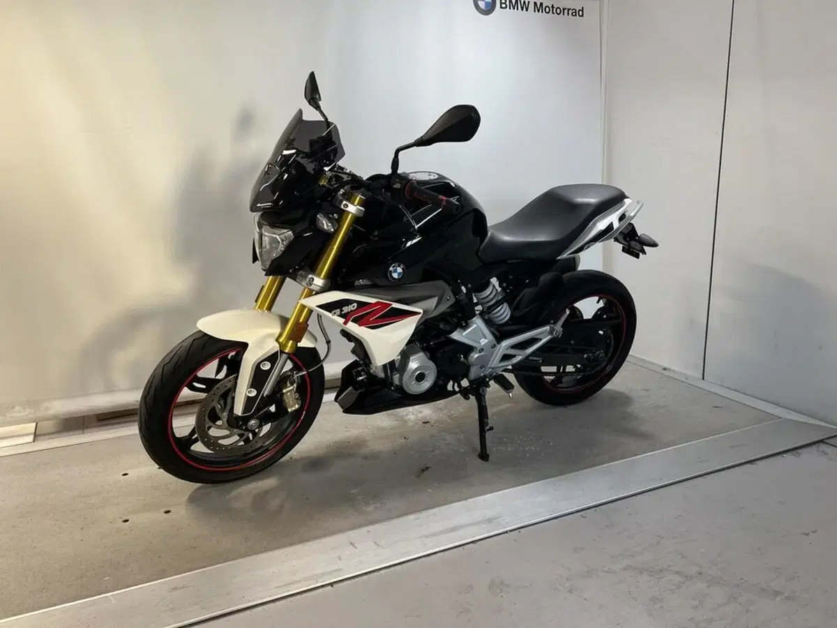 Bmw G 310 R (2016 - 20) (3)