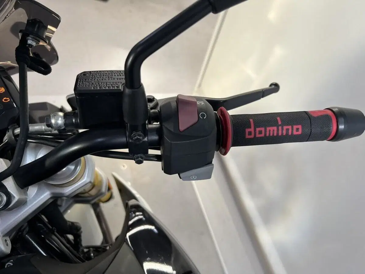 Bmw G 310 R (2016 - 20) (9)