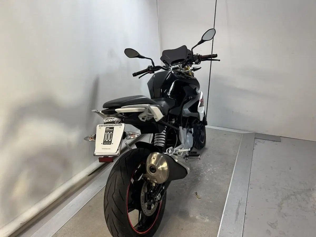 Bmw G 310 R (2016 - 20) (12)