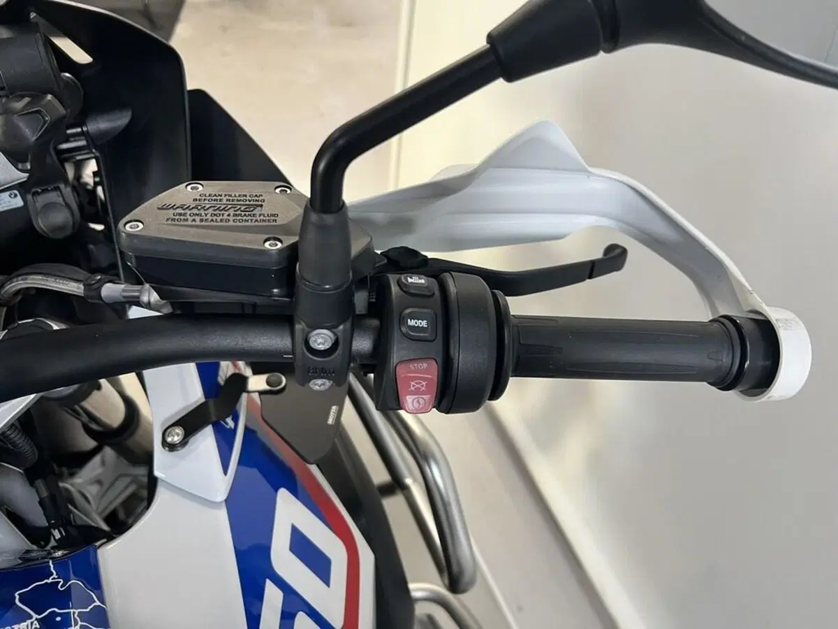 Bmw R 1250 GS (2019 - 20) (9)