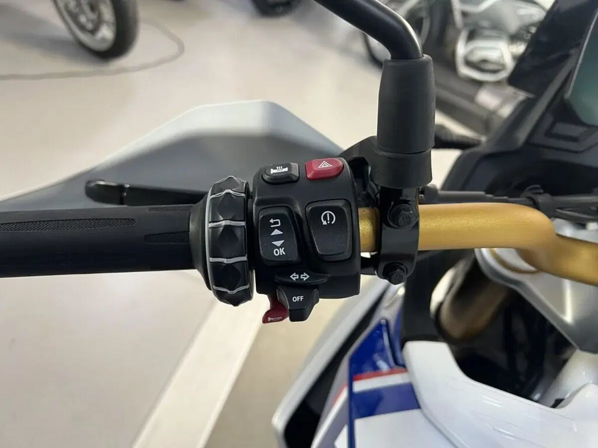 Bmw F 450 GS (2026) (7)
