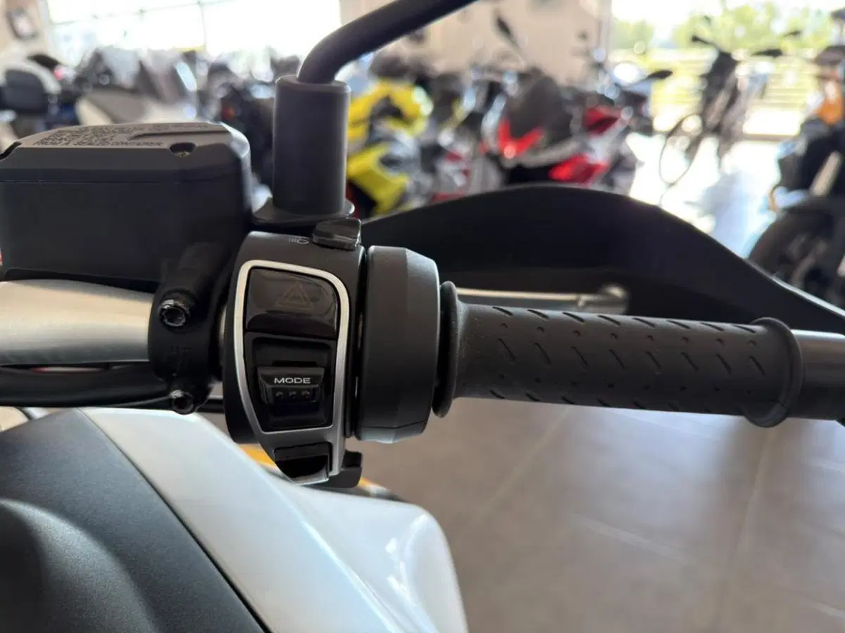 Moto Guzzi V85 TT Evocative Graphics (2019 - 20) (8)