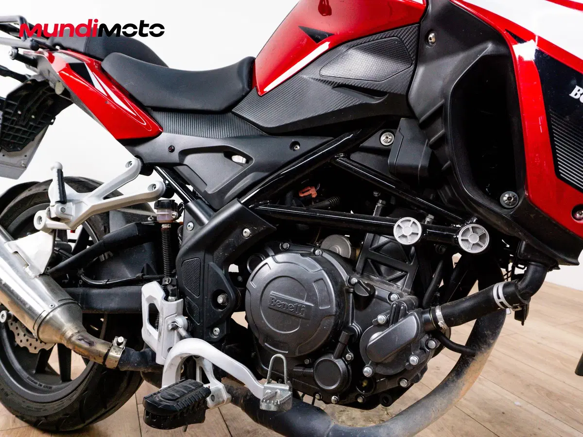 Benelli TRK 251 (2019 - 20) (5)