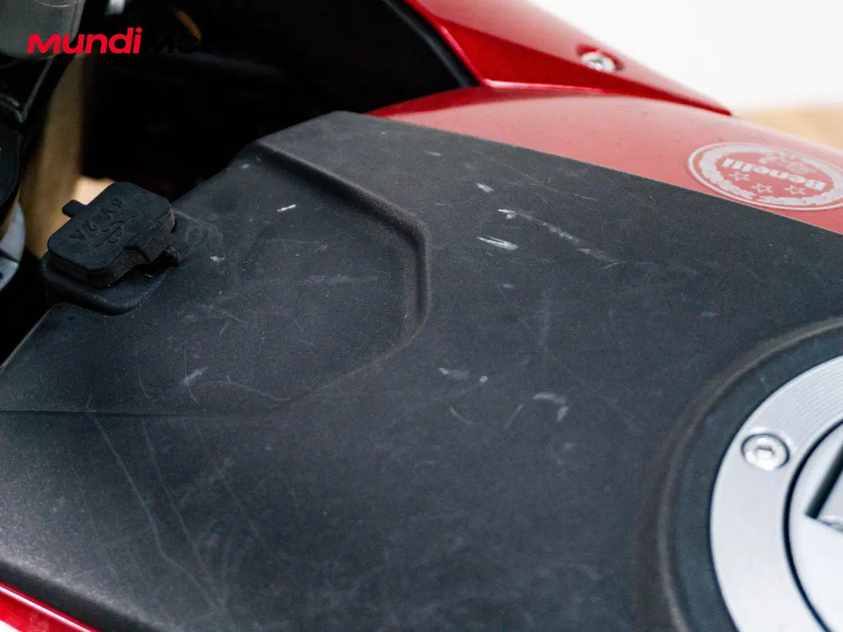 Benelli TRK 251 (2019 - 20) (13)