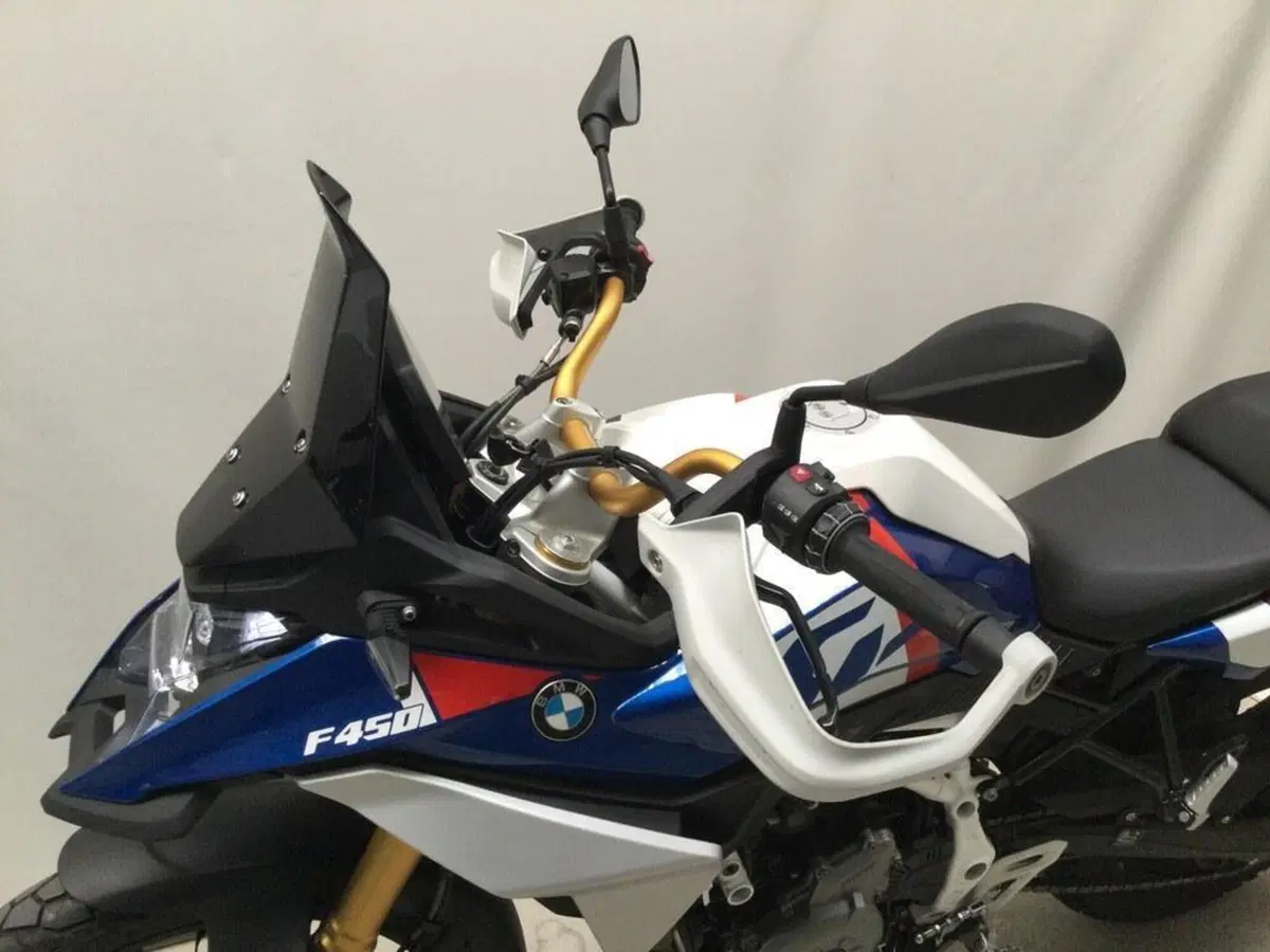 Bmw F 450 GS (2026) (9)