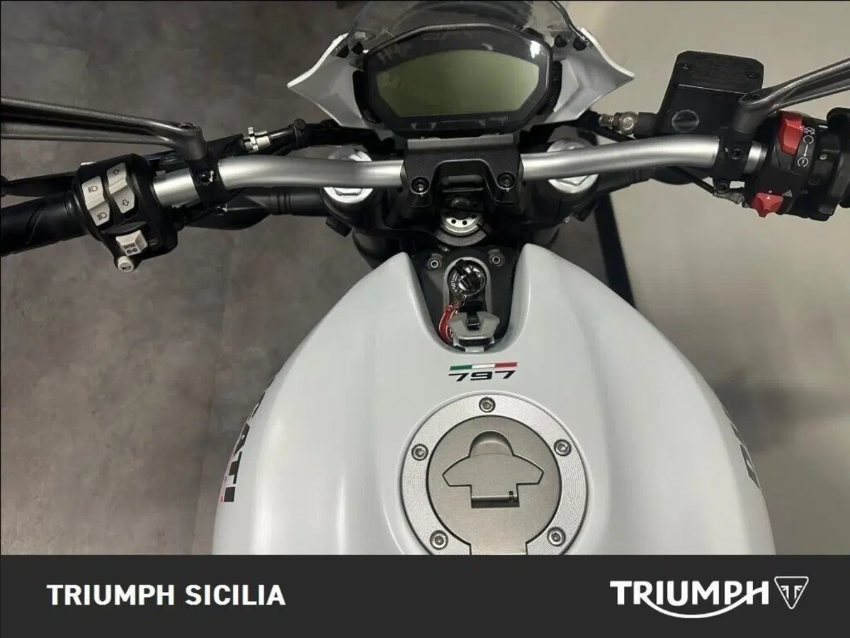 Ducati Monster 797 Plus (2019) (6)