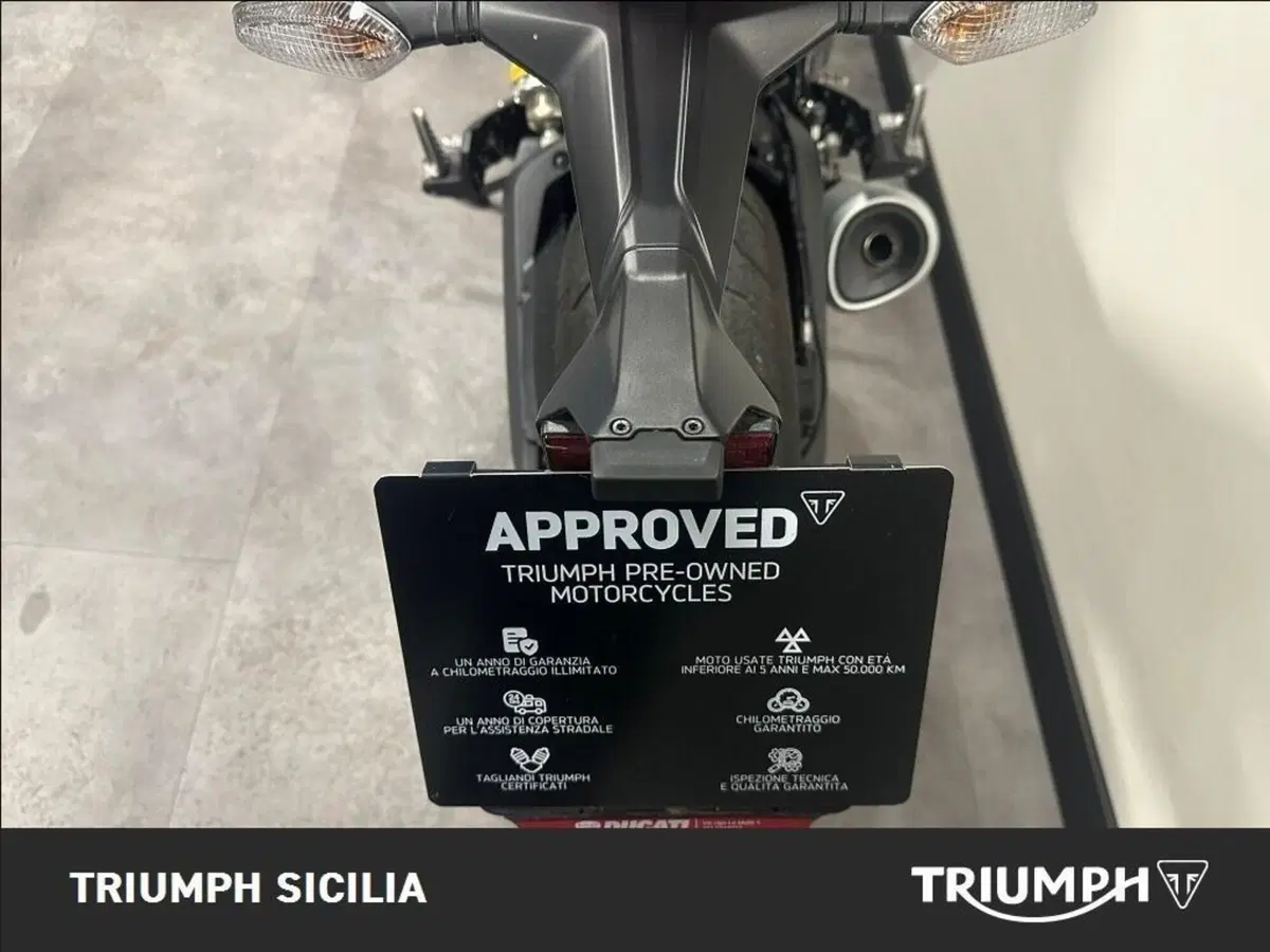 Ducati Monster 797 Plus (2019) (11)